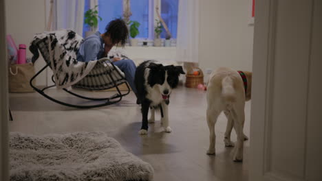 Mädchen-Sitzt-Auf-Dem-Sofa-Und-Scrollt-Mit-Ihrem-Telefon-Und-Ist-Frustriert-Und-Müde,-Während-Hunde-Im-Wohnzimmer-Spielen,-Border-Collie,-Labrador-Retriever,-Glückliche-Haustiere,-Wedelnder-Schwanz,-Gemütlicher-Nachmittag-Zu-Hause