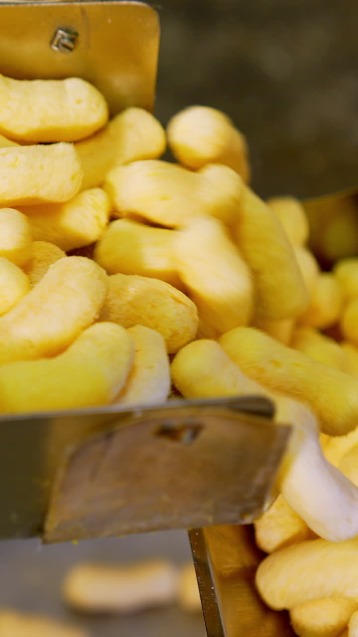 Nutritious crunchy corn product on the conveyor belt. Process of sweet snacks manufacturing at factory. Close up. Vertical video