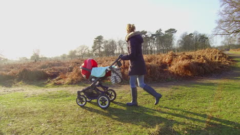 woman walking with baby pram in the countryside on a bright winters day