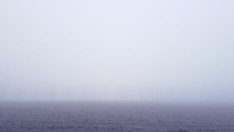 moving between trees to fly over a field cloaked by the dense fog