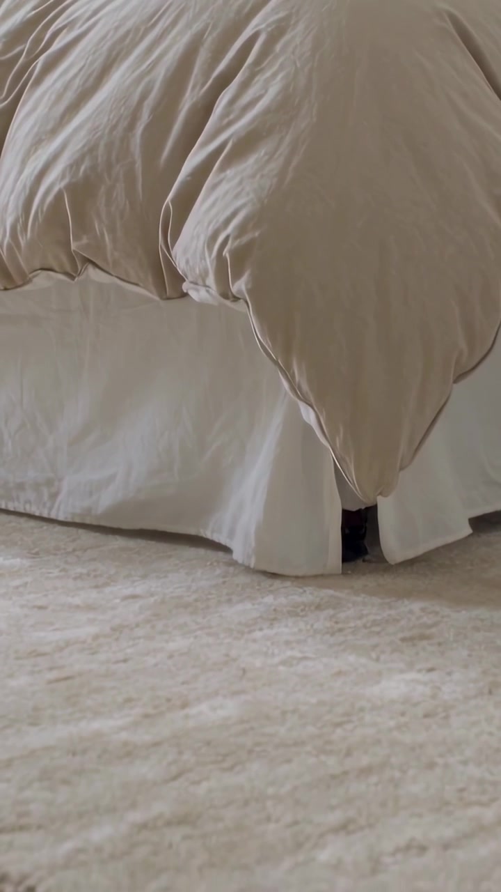 Video verticale: Telecamera che si allontana rivelando uno spazio nella mantovana del letto in camera da letto, mostrando un piccolo animale domestico che sbircia.