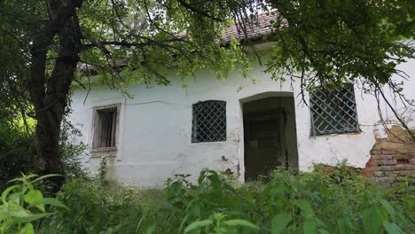 old, abandoned white house surrounded by greenery