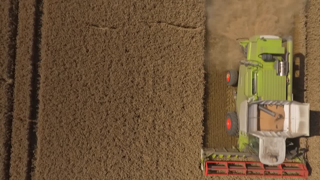 Harvest drone close fly over crop then combine harvester enters shot and leaves