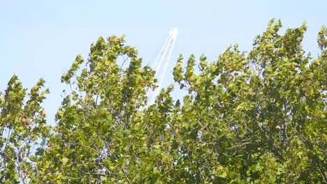 Konzentrieren-Sie-Sich-Auf-Den-Wald-Im-Vordergrund-Und-Das-Unscharfe-Gerüst-Im-Hintergrund