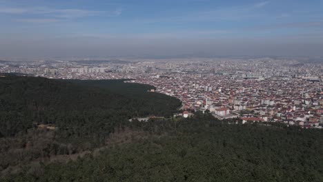 Drone-Aéreo-Casas-Suburbanas-Frente-Al-Bosque