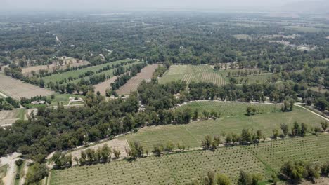 Vista-Aérea-De-Un-Denso-Jardín