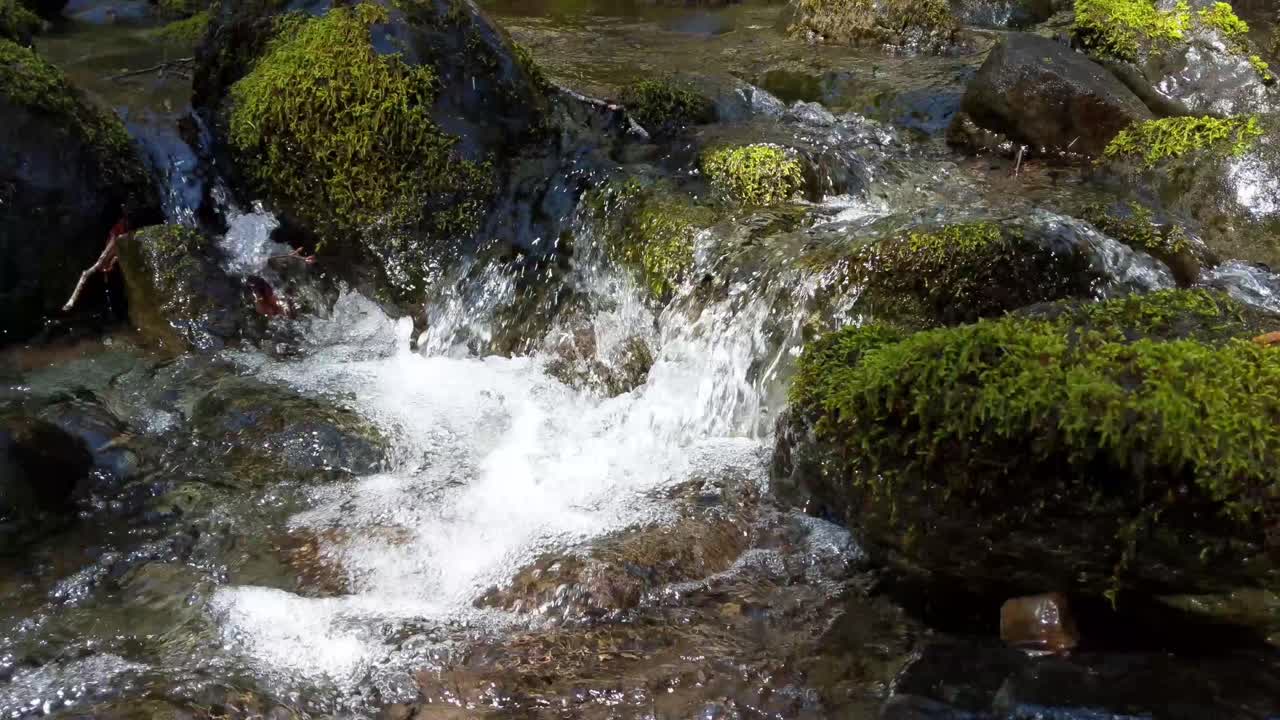 Water flowing over rocks covered by moss in the forest of the Olympic National Forest
