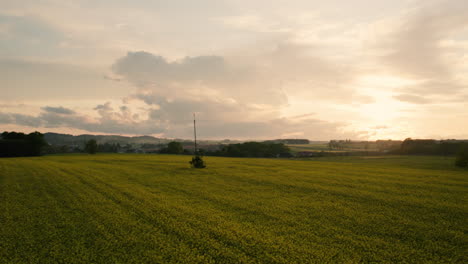 Drone-slow-approach-towards-orange-sunset-on-green-field