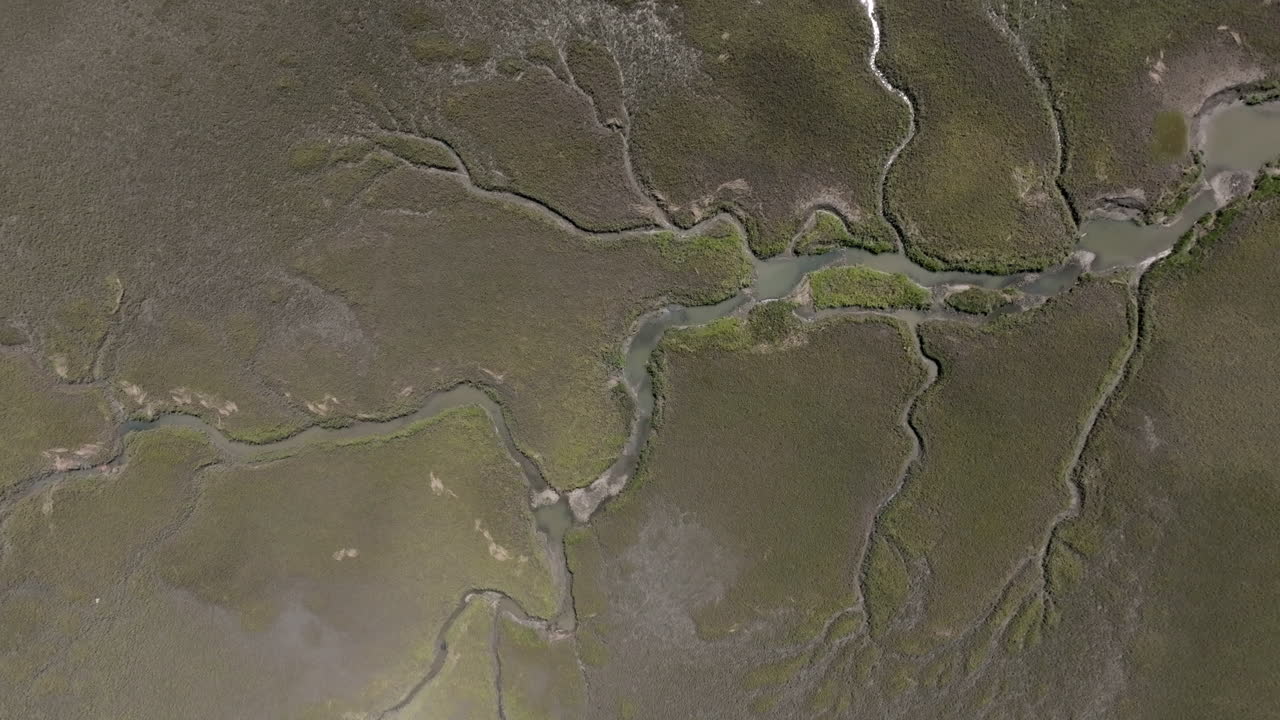 Aerial video looks straight down on Hilton Head’s salt marshes, revealing a maze of winding tidal creeks etched into the muddy terrain