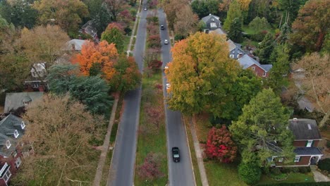 cars driving on two-lane street in a suburban residential area, tree alley in colourful autumn foliage, fancy housing in luxurious neighbourhood