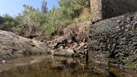 drenaje de hormigón con características de algas y agua