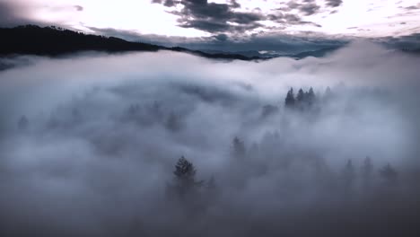 Beschleunigtes,-Stabiles-Video-Von-Nebel,-Der-Durch-Das-Tal-Der-Wunderschön-Stimmungsvollen-Immergrünen-Washington-State-Waldbäume-Zieht