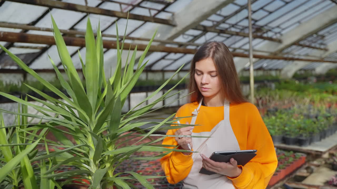mujer inspeccionando plantas en un invernadero