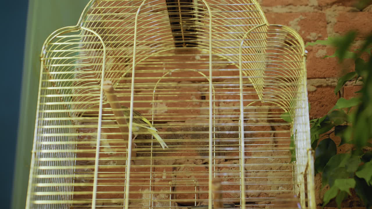 Green bird with black streaks perched inside cage set against exposed brick wall, partially surrounded by green indoor plants and warm ambient lighting enhancing natural textures and calming mood