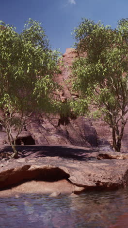 desert oasis with trees and rocks