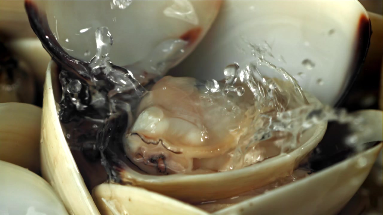 Close-up of Fresh Clam Being Washed with Splashing Water