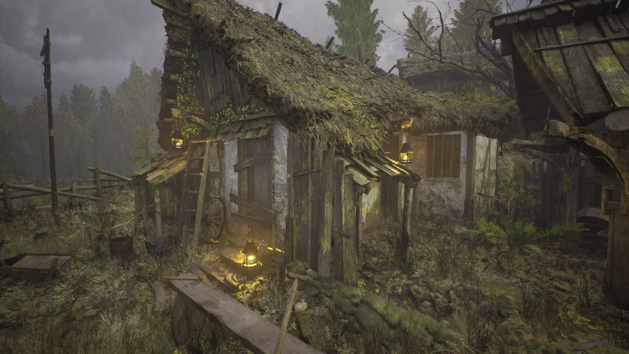 Forgotten cottage in a misty forest reveals natures reclamation