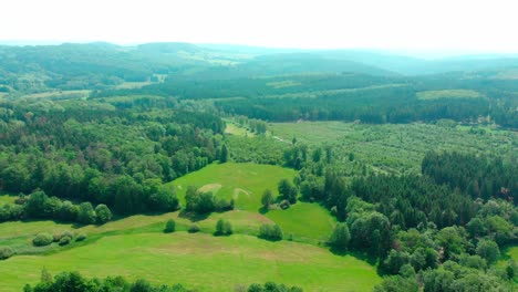 drone aerial flight over lush green summer forest and mountain landscape