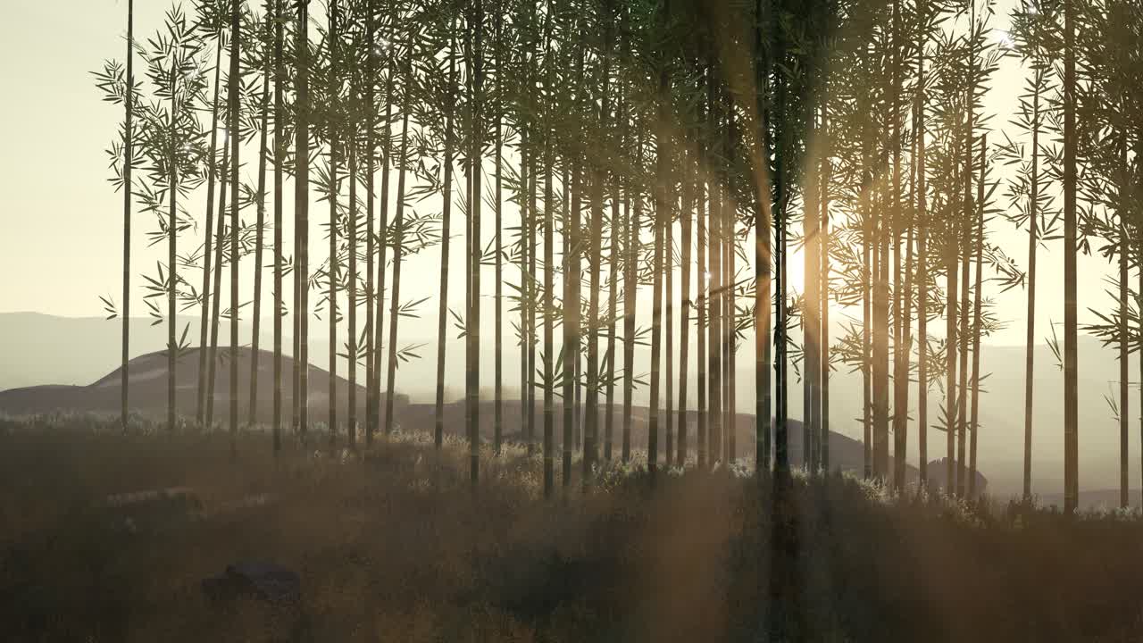 언덕 에 있는 초록색 대나무 숲