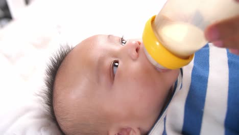 newborn baby drinking milk from a bottle, video in 4k