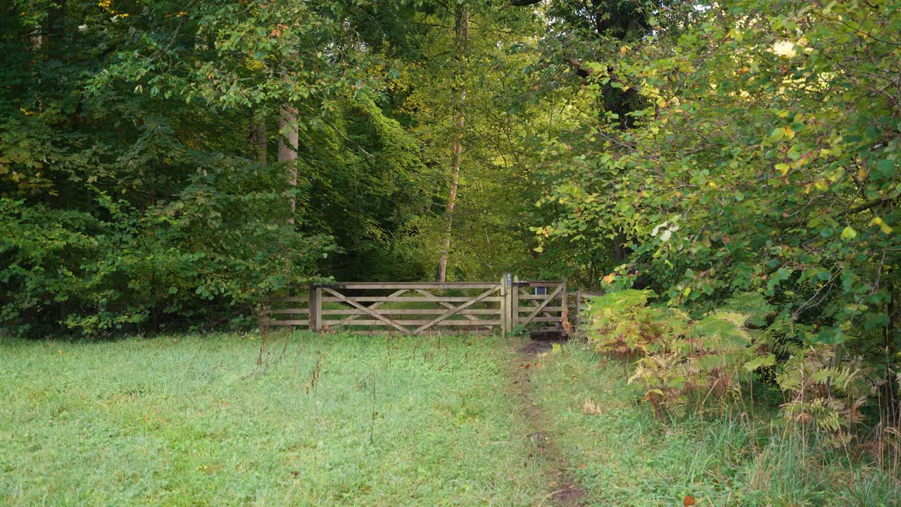 A wooden gate stands at the entrance to a forest on a lush grassy path in early autumn