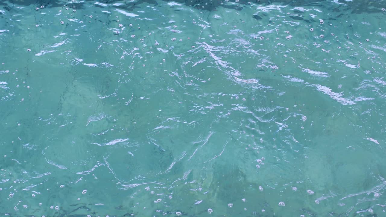 nadador en forma haciendo el golpe de pecho en la piscina