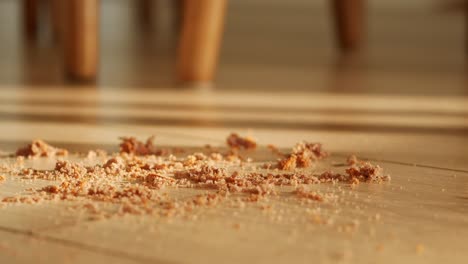 crumbs on wooden floor