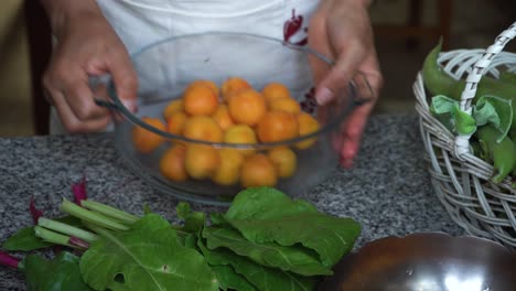 female gardener collecting home-grown apricots in bowl, closeup