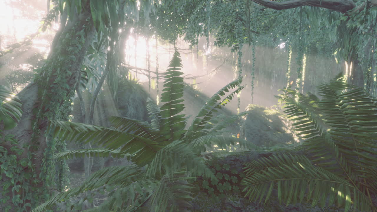 Sunlight filters through lush foliage in a serene forest environment
