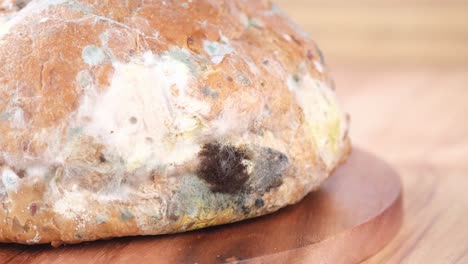 moldy bread on wooden board