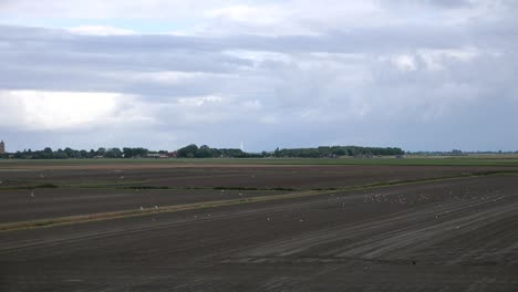 agricultural farmland near the wadden sea. netherlands. 2022