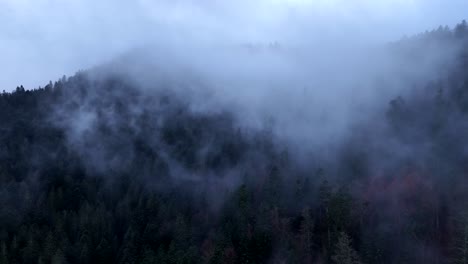 aerial ascending in fast moving clouds over dark forest in 4k