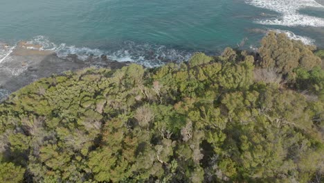 Vista-De-Pájaro-De-Los-árboles-En-El-Borde-De-Un-Acantilado-Mirando-Hacia-El-Océano-Azul-En-La-Costa-Sur-De-Australia