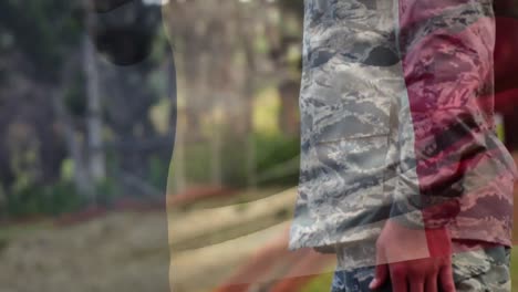 animation of flag of france over soldier