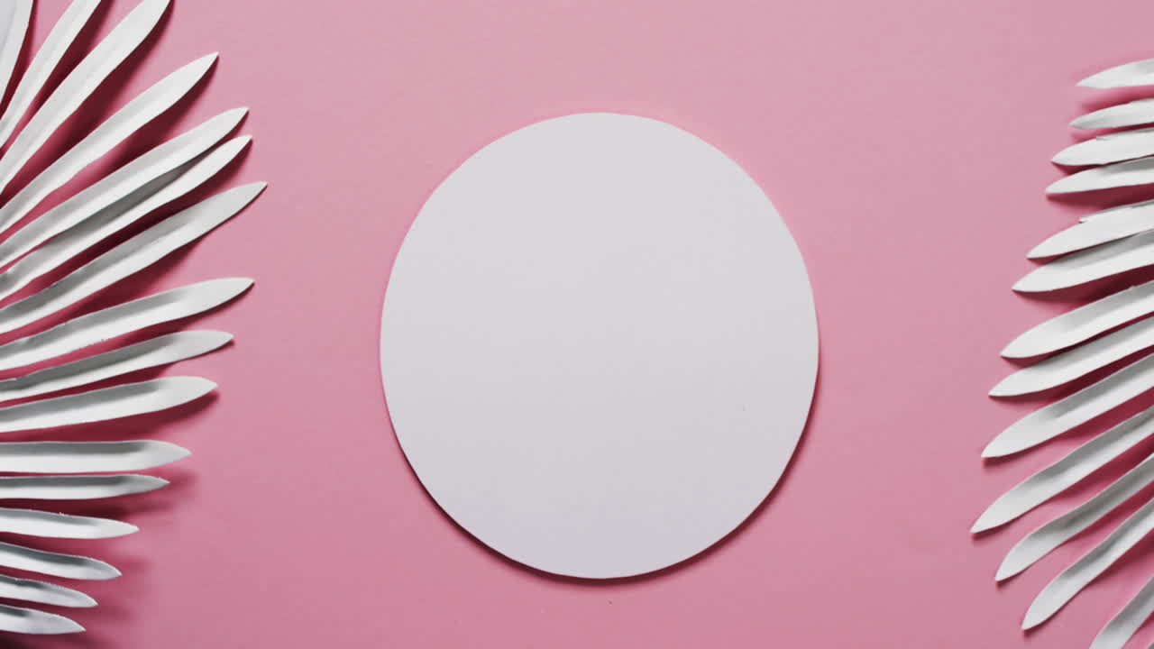 video de hojas de plantas blancas y círculo blanco con espacio de copia en fondo rosa