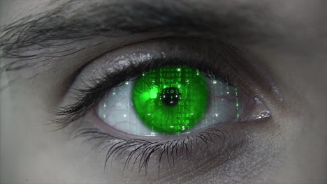 macro falling matrix green eye plan