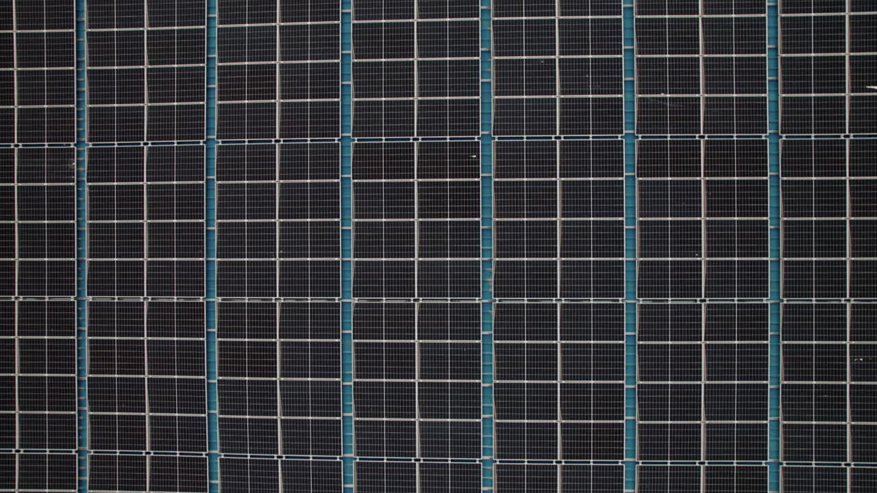 생태 태양 전지 농장 발전소 에코 기술의 클로즈업