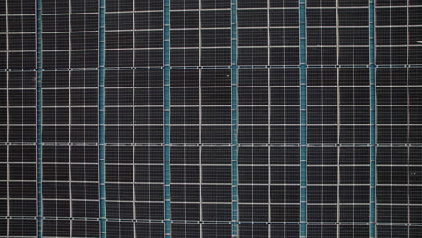primer plano de la ecología planta de energía agrícola de células solares tecnología ecológica