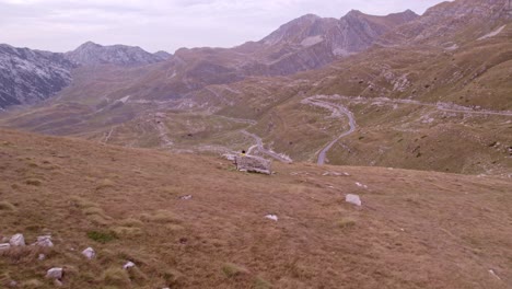 Tilt-up-shot-of-beautiful-green-valley-surrounded-by-beautiful-mountains-at-Durmitor-Montenegro,-aerial