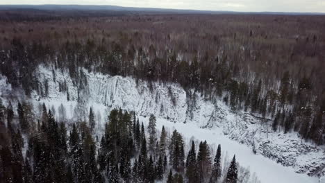 winter landscape in a forest
