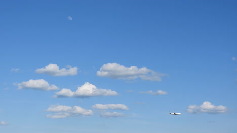 Wonderful-blue-sky-with-airplane-in-flight-and-bird-nearby