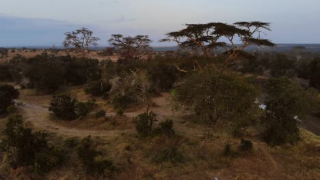 sunrise near a river and campsite in ol pejeta, kenya