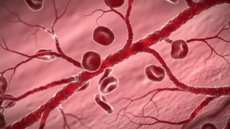 Detailed Visualization of Blood Vessels Intertwined with Red Blood Cells, Showcasing the Intricate Circulatory System in a Dynamic and Colorful Representation