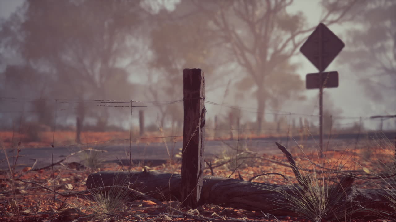 camino de campo brumoso con un poste de valla