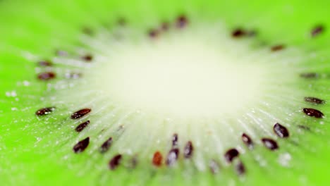 slice of fresh juicy kiwi rotates slowly.