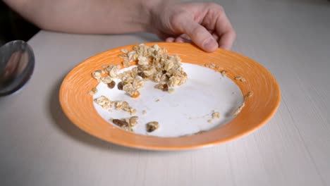 oatmeal porridge with raisins in a plate with orange edging