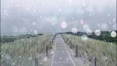 snowflakes and lighting storm on plank road