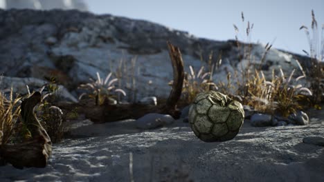 una vieja pelota de fútbol rota arrojada yace en la arena de la playa del mar