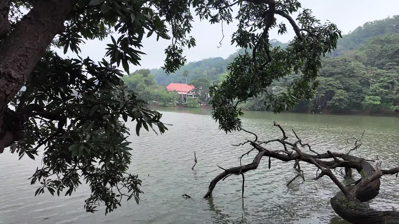 4K Video of the banks of Kandy Lake showing nature as it is in Sri Lanka