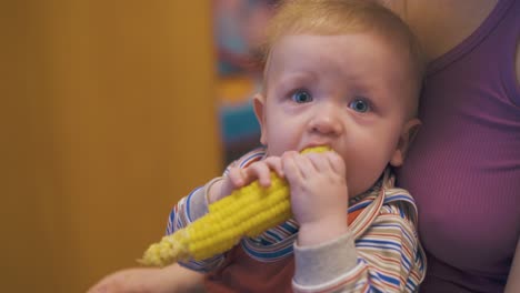 cute little boy eats boiled corn on cob with mother in room